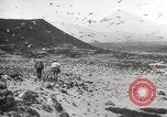Standbild Vögel auf Ascension Island Himmelfahrtsinsel, 1922, aus Sekunde 7 historischem Filmmaterial Videoclip 65675065872