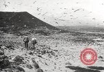 Standbild Vögel auf Ascension Island Himmelfahrtsinsel, 1922, aus Sekunde 8 historischem Filmmaterial Videoclip 65675065872