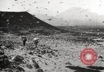 Standbild Vögel auf Ascension Island Himmelfahrtsinsel, 1922, aus Sekunde 10 historischem Filmmaterial Videoclip 65675065872
