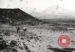 Standbild Vögel auf Ascension Island Himmelfahrtsinsel, 1922, aus Sekunde 11 historischem Filmmaterial Videoclip 65675065872