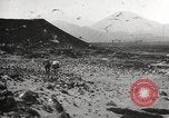 Standbild Vögel auf Ascension Island Himmelfahrtsinsel, 1922, aus Sekunde 12 historischem Filmmaterial Videoclip 65675065872