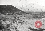 Standbild Vögel auf Ascension Island Himmelfahrtsinsel, 1922, aus Sekunde 15 historischem Filmmaterial Videoclip 65675065872