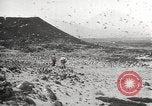 Standbild Vögel auf Ascension Island Himmelfahrtsinsel, 1922, aus Sekunde 16 historischem Filmmaterial Videoclip 65675065872