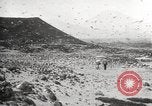 Standbild Vögel auf Ascension Island Himmelfahrtsinsel, 1922, aus Sekunde 23 historischem Filmmaterial Videoclip 65675065872