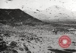 Standbild Vögel auf Ascension Island Himmelfahrtsinsel, 1922, aus Sekunde 24 historischem Filmmaterial Videoclip 65675065872