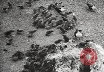 Standbild Vögel auf Ascension Island Himmelfahrtsinsel, 1922, aus Sekunde 45 historischem Filmmaterial Videoclip 65675065872