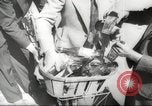Image of concealed camera Paris France, 1944, second 33 stock footage video 65675065875