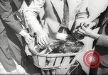 Image of concealed camera Paris France, 1944, second 34 stock footage video 65675065875