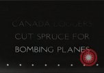 Image of cutting of Spruce trees for World War 2 aircraft Canada, 1943, second 1 stock footage video 65675065877