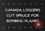 Image of cutting of Spruce trees for World War 2 aircraft Canada, 1943, second 5 stock footage video 65675065877