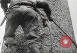 Image of cutting of Spruce trees for World War 2 aircraft Canada, 1943, second 7 stock footage video 65675065877