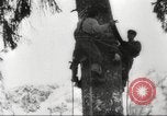 Image of cutting of Spruce trees for World War 2 aircraft Canada, 1943, second 14 stock footage video 65675065877