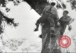Image of cutting of Spruce trees for World War 2 aircraft Canada, 1943, second 16 stock footage video 65675065877