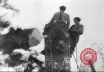 Image of cutting of Spruce trees for World War 2 aircraft Canada, 1943, second 17 stock footage video 65675065877