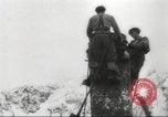 Image of cutting of Spruce trees for World War 2 aircraft Canada, 1943, second 18 stock footage video 65675065877