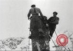Image of cutting of Spruce trees for World War 2 aircraft Canada, 1943, second 19 stock footage video 65675065877