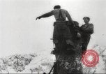 Image of cutting of Spruce trees for World War 2 aircraft Canada, 1943, second 20 stock footage video 65675065877