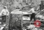 Image of cutting of Spruce trees for World War 2 aircraft Canada, 1943, second 22 stock footage video 65675065877