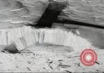 Image of cutting of Spruce trees for World War 2 aircraft Canada, 1943, second 26 stock footage video 65675065877