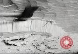 Image of cutting of Spruce trees for World War 2 aircraft Canada, 1943, second 27 stock footage video 65675065877