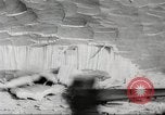 Image of cutting of Spruce trees for World War 2 aircraft Canada, 1943, second 28 stock footage video 65675065877
