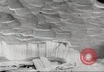 Image of cutting of Spruce trees for World War 2 aircraft Canada, 1943, second 29 stock footage video 65675065877