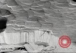 Image of cutting of Spruce trees for World War 2 aircraft Canada, 1943, second 30 stock footage video 65675065877
