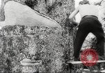 Image of cutting of Spruce trees for World War 2 aircraft Canada, 1943, second 32 stock footage video 65675065877