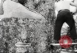 Image of cutting of Spruce trees for World War 2 aircraft Canada, 1943, second 33 stock footage video 65675065877