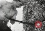 Image of cutting of Spruce trees for World War 2 aircraft Canada, 1943, second 37 stock footage video 65675065877