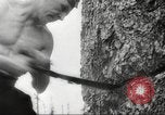 Image of cutting of Spruce trees for World War 2 aircraft Canada, 1943, second 38 stock footage video 65675065877