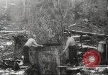 Image of cutting of Spruce trees for World War 2 aircraft Canada, 1943, second 39 stock footage video 65675065877