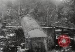 Image of cutting of Spruce trees for World War 2 aircraft Canada, 1943, second 43 stock footage video 65675065877