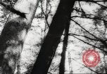 Image of cutting of Spruce trees for World War 2 aircraft Canada, 1943, second 49 stock footage video 65675065877