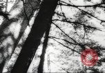 Image of cutting of Spruce trees for World War 2 aircraft Canada, 1943, second 50 stock footage video 65675065877