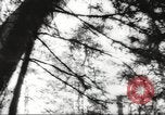 Image of cutting of Spruce trees for World War 2 aircraft Canada, 1943, second 51 stock footage video 65675065877