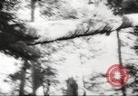 Image of cutting of Spruce trees for World War 2 aircraft Canada, 1943, second 53 stock footage video 65675065877