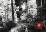 Image of cutting of Spruce trees for World War 2 aircraft Canada, 1943, second 55 stock footage video 65675065877