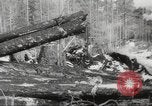 Image of cutting of Spruce trees for World War 2 aircraft Canada, 1943, second 58 stock footage video 65675065877