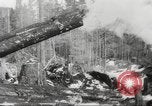 Image of cutting of Spruce trees for World War 2 aircraft Canada, 1943, second 59 stock footage video 65675065877