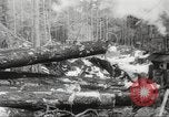 Image of cutting of Spruce trees for World War 2 aircraft Canada, 1943, second 60 stock footage video 65675065877
