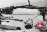 Image of cutting of Spruce trees for World War 2 aircraft Canada, 1943, second 61 stock footage video 65675065877