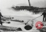Image of cutting of Spruce trees for World War 2 aircraft Canada, 1943, second 62 stock footage video 65675065877