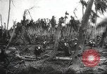 Image of Tehran Conference Pacific Theater, 1945, second 43 stock footage video 65675065882