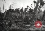 Image of Tehran Conference Pacific Theater, 1945, second 45 stock footage video 65675065882