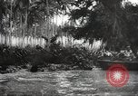 Image of Tehran Conference Pacific Theater, 1945, second 50 stock footage video 65675065882