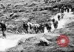 Image of German soldiers Soviet Union, 1941, second 18 stock footage video 65675065889