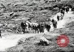 Image of German soldiers Soviet Union, 1941, second 19 stock footage video 65675065889