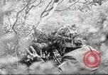 Image of German soldiers Soviet Union, 1941, second 31 stock footage video 65675065889