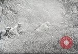 Image of German soldiers Soviet Union, 1941, second 50 stock footage video 65675065889